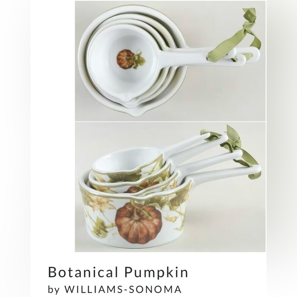 Williams Sonoma Botanical Pumpkin 4 Piece Ceramic Measuring Cup Set
